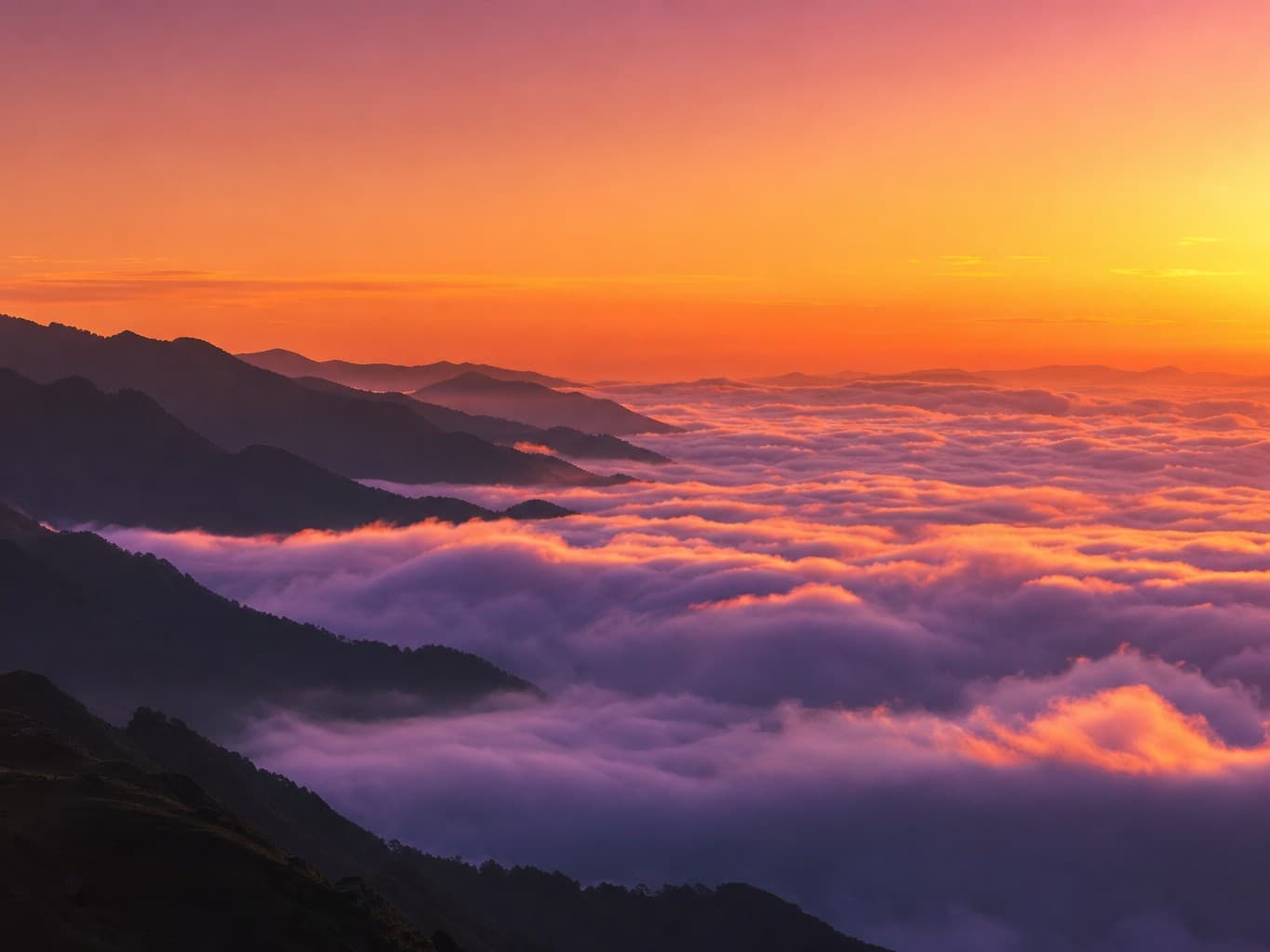 夕焼けに染まる雲海 - Sea of clouds glowing in the sunset