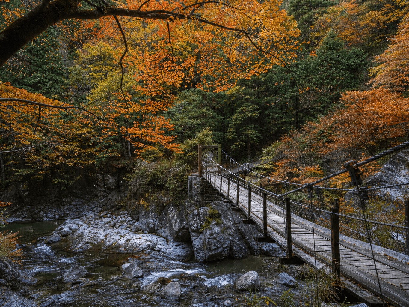 紅葉の渓谷にかかる吊り橋 - Old wooden suspension bridge over an autumn valley