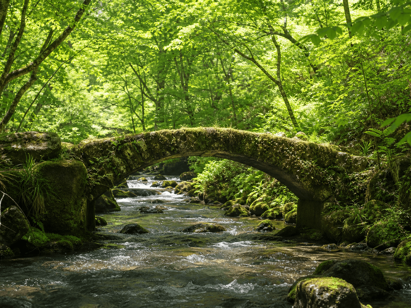 新緑に包まれた渓流の石橋 - Mossy stone bridge over a mountain stream in fresh greenery