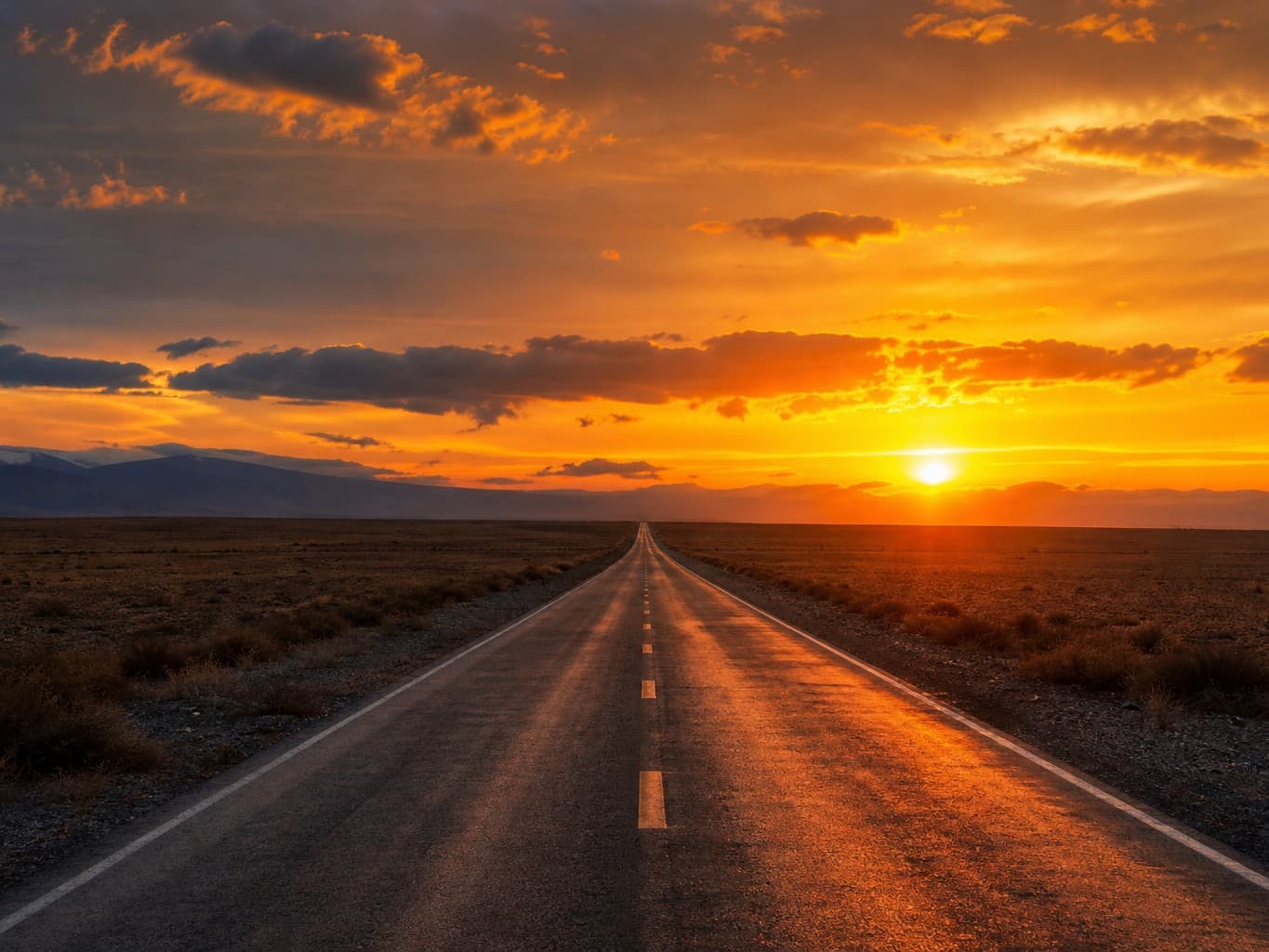 荒野にまっすぐ伸びる一本道の夕景 - A straight road stretching across a dry wilderness at sunset
