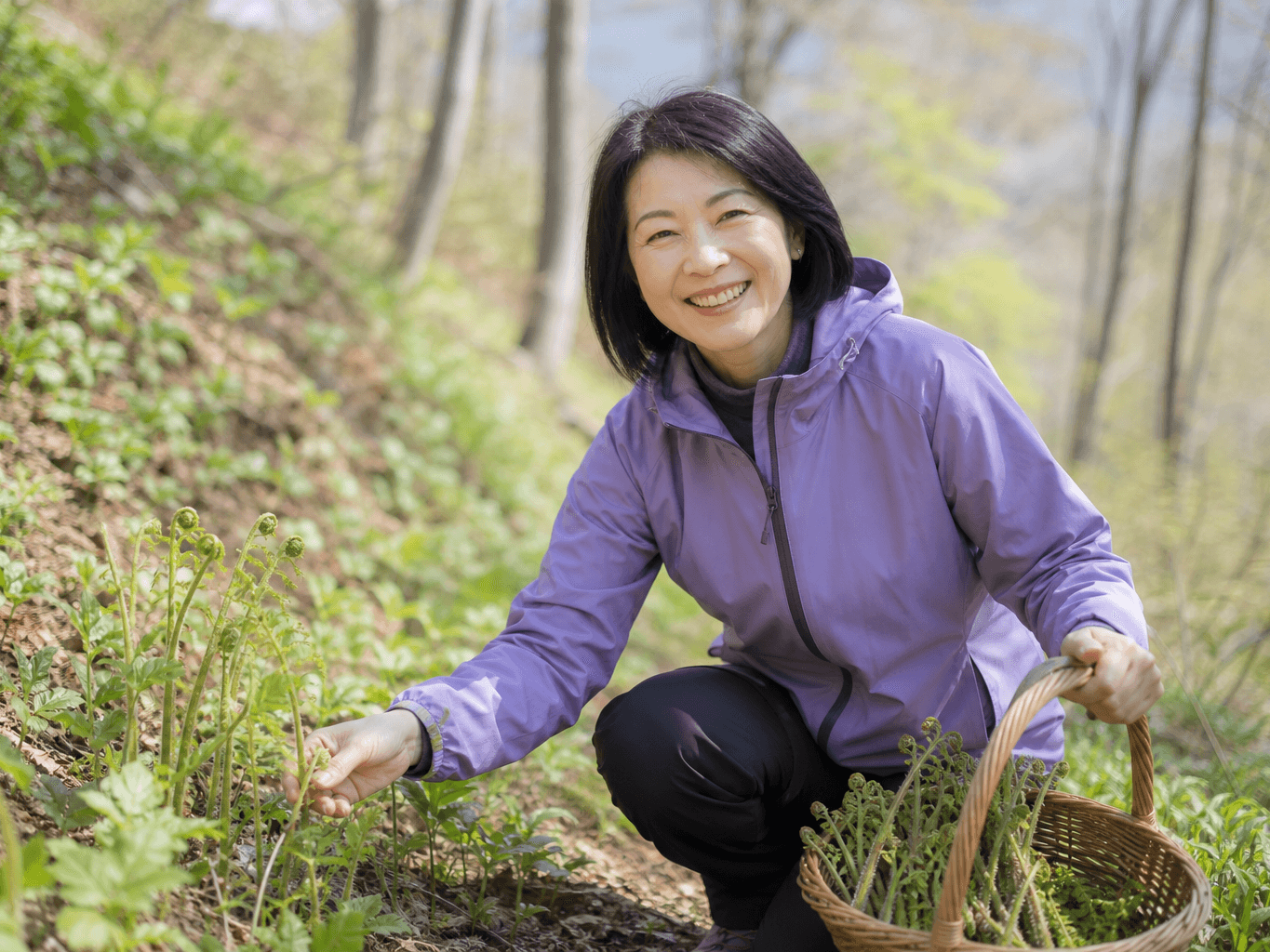 山菜採りをする女性 - Woman Foraging for Wild Vegetables