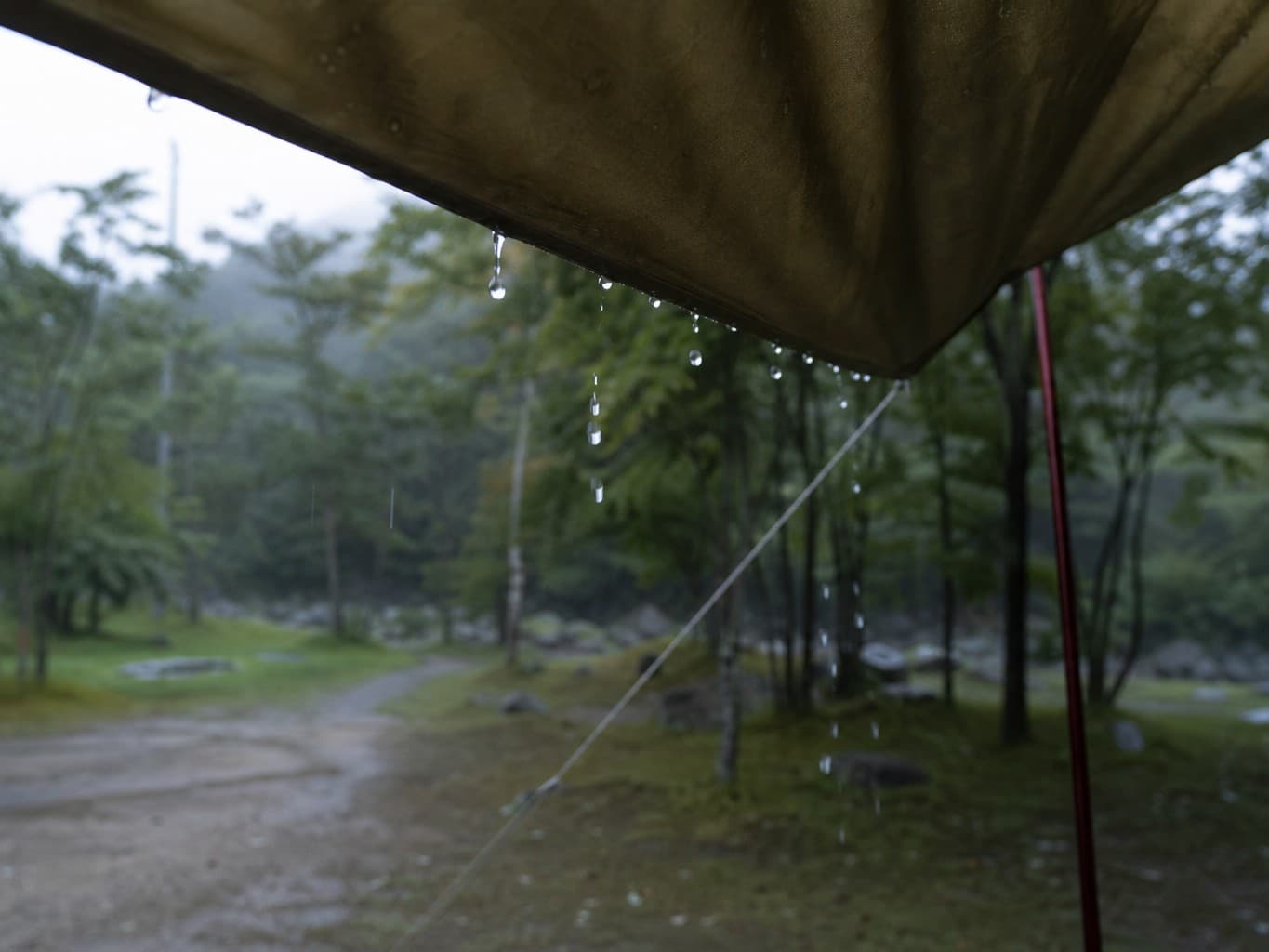 雨の日のタープから滴る雨粒 - Raindrops dripping from a camp tarp on a rainy day