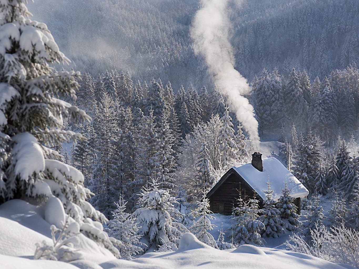 雪の森に建つ山小屋と煙突の煙 - Mountain cabin with chimney smoke in a snowy forest