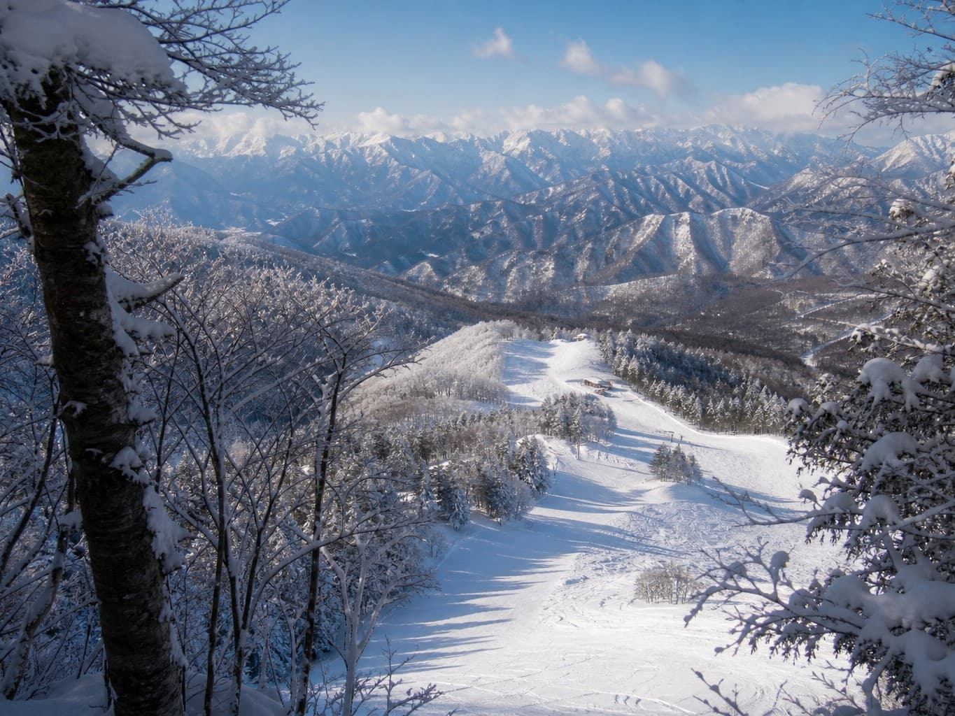 雪山を望むスキー場のゲレンデ - Ski slope with a view of snow-capped mountains