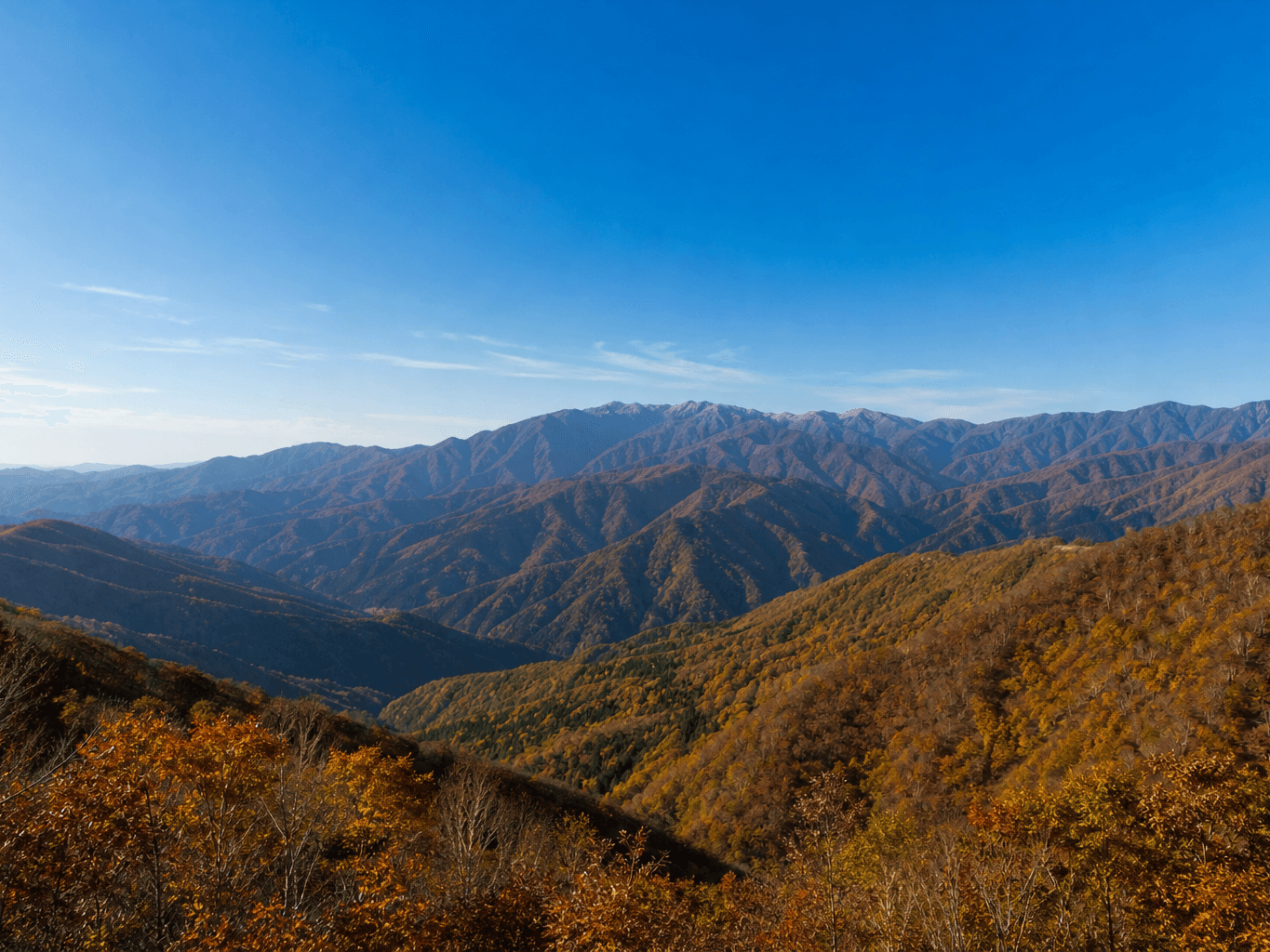 秋晴れに映える紅葉の山並み - Panoramic view of autumn-colored mountain ridges under clear sky