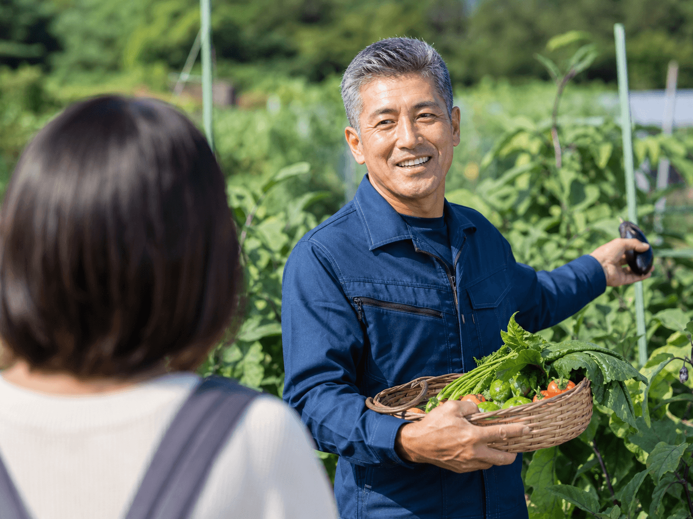 農作業体験を案内する農家民泊のホスト - Farm Stay Host Guiding a Harvesting Experience