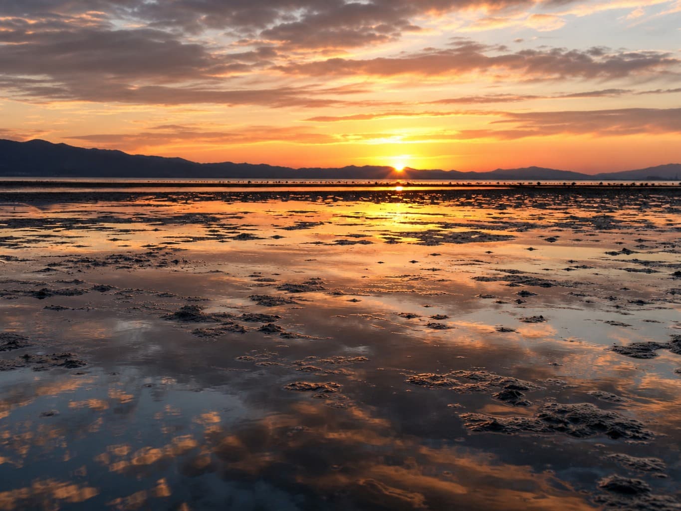 夕日を映す干潟の水鏡 - Tidal flat mirroring the sunset sky in shallow pools