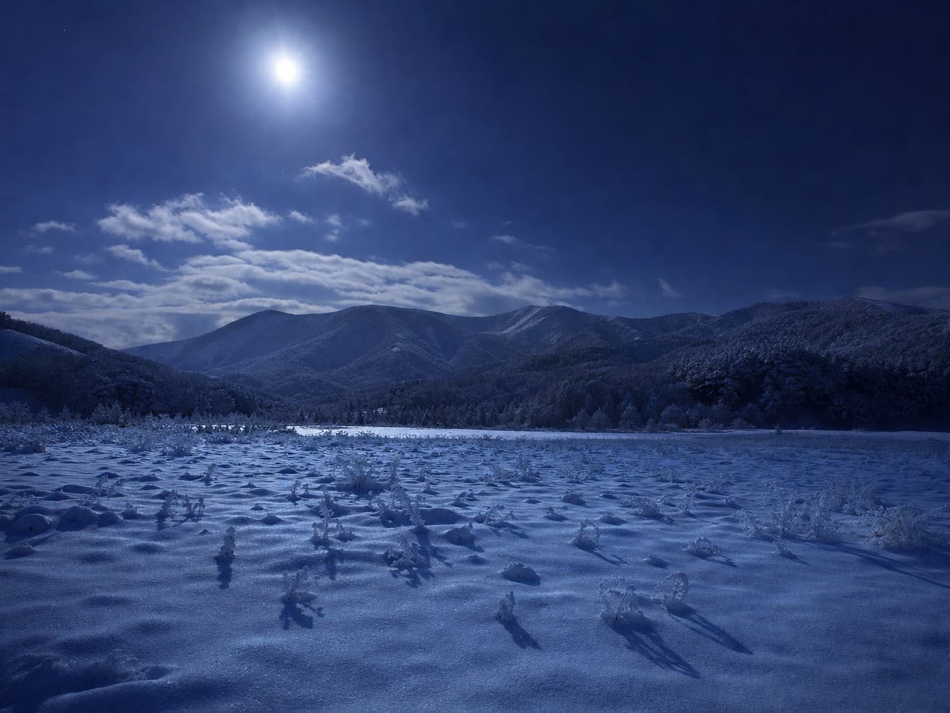 満月に照らされる雪原の夜景 - Moonlit snow field glowing pale blue at night