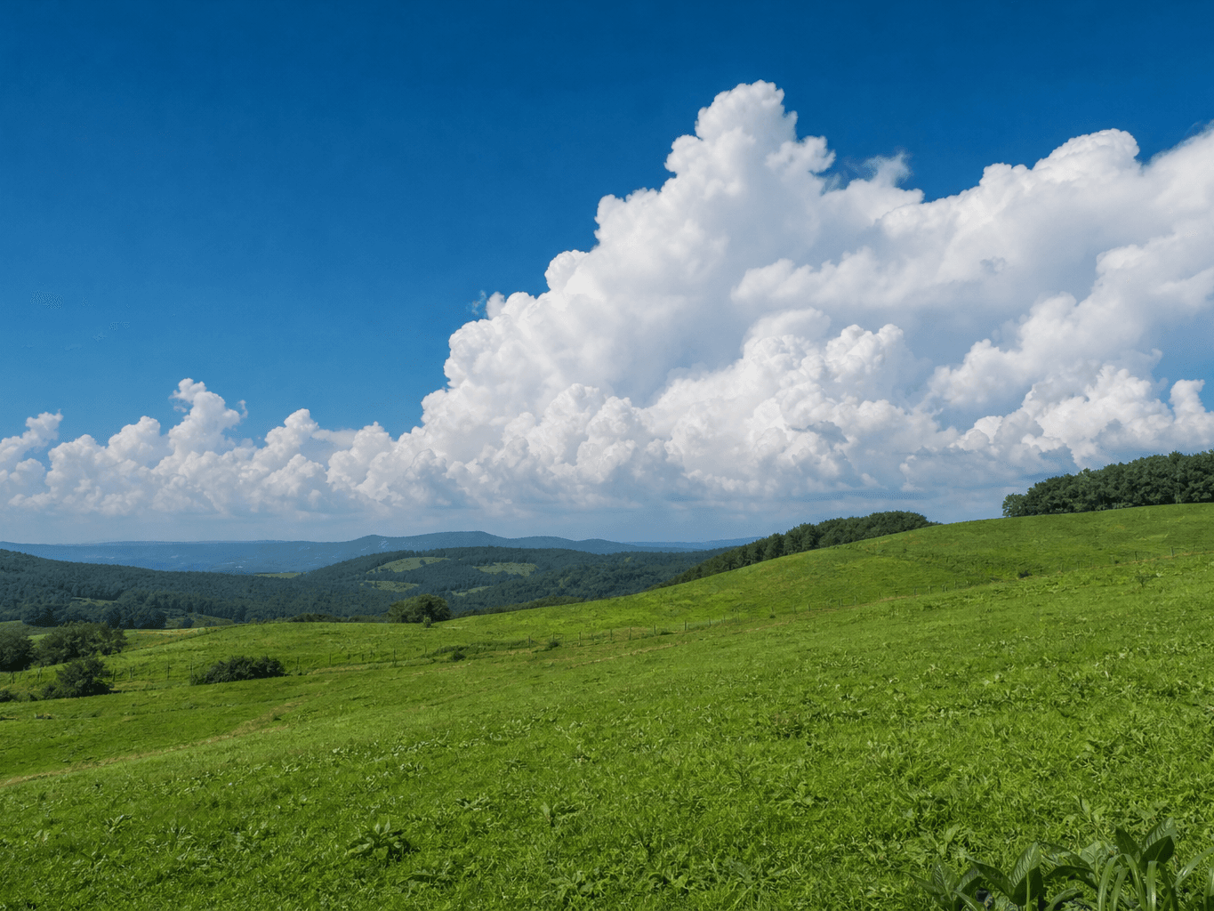 夏の高原にそびえる入道雲 - Towering summer clouds over a highland meadow