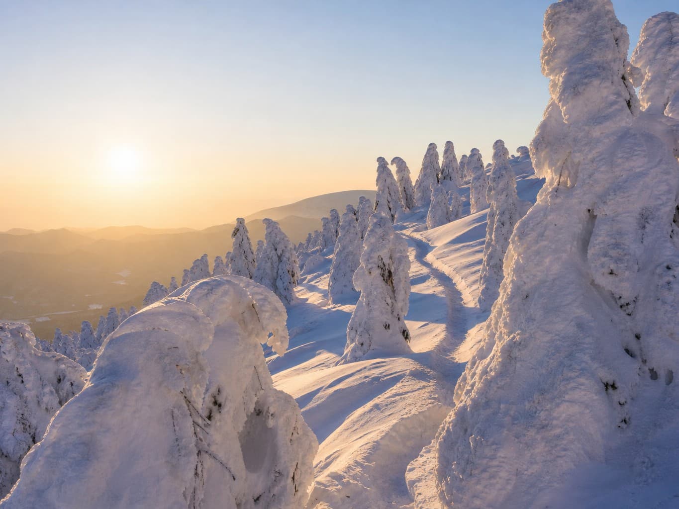 雪に覆われた樹氷の山道 - Snow-covered mountain path among rime ice trees